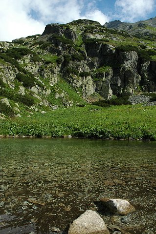 img00003.jpg