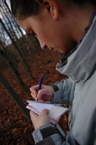 img00019.jpg