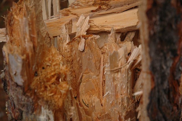 img00022.jpg