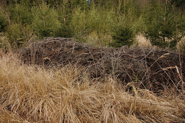 img00023.jpg