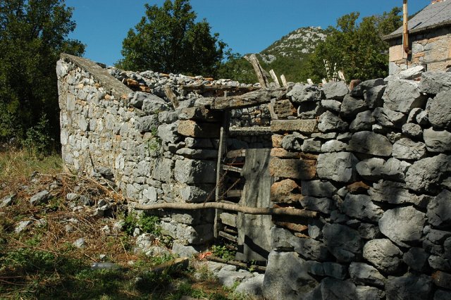 img00026.jpg